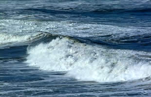 SUNTSE INTERNATIONAL - Consulting STIC - [Conseil en stratgie]