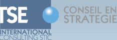 SUNTSE INTERNATIONAL - Consulting STIC - [Conseil en stratgie]